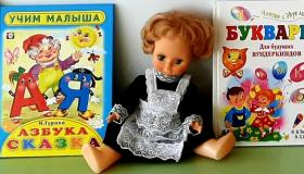 День грамотности