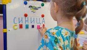 "Синичкин день"